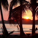 Sunset at a tropical beach with silhouettes of palm trees and a person sitting near the water.