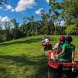 A group of people riding atvs in a lush green forest clearing under a blue sky.