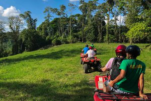 A group of people riding atvs in a lush green forest clearing under a blue sky.