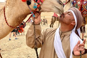 A man kissing a camel.