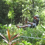 A person zip-lining through a lush green forest.