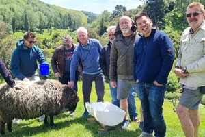 A group of men standing next to a sheep in a field.