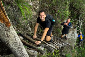 Show thumbnail preview	 Three hikers ascending a steep trail with makeshift log stairs in a forested area.