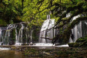 A waterfall in a lush green forest.