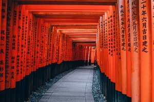 Torii gates line a path at fushimi inari shrine in kyoto, japan, with inscriptions on the vermilion pillars.