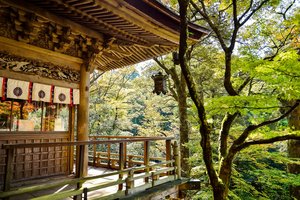 Traditional japanese temple with intricate wooden architecture surrounded by lush greenery.