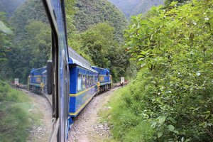 A train travels through dense bush