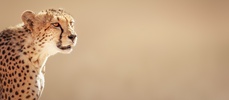 12 Days in South Africa